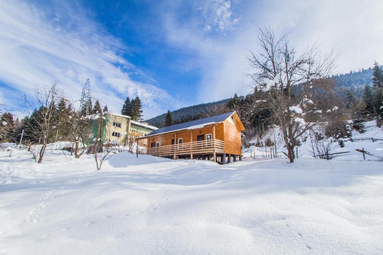 Cottage Shgedi Mestia Exterior foto